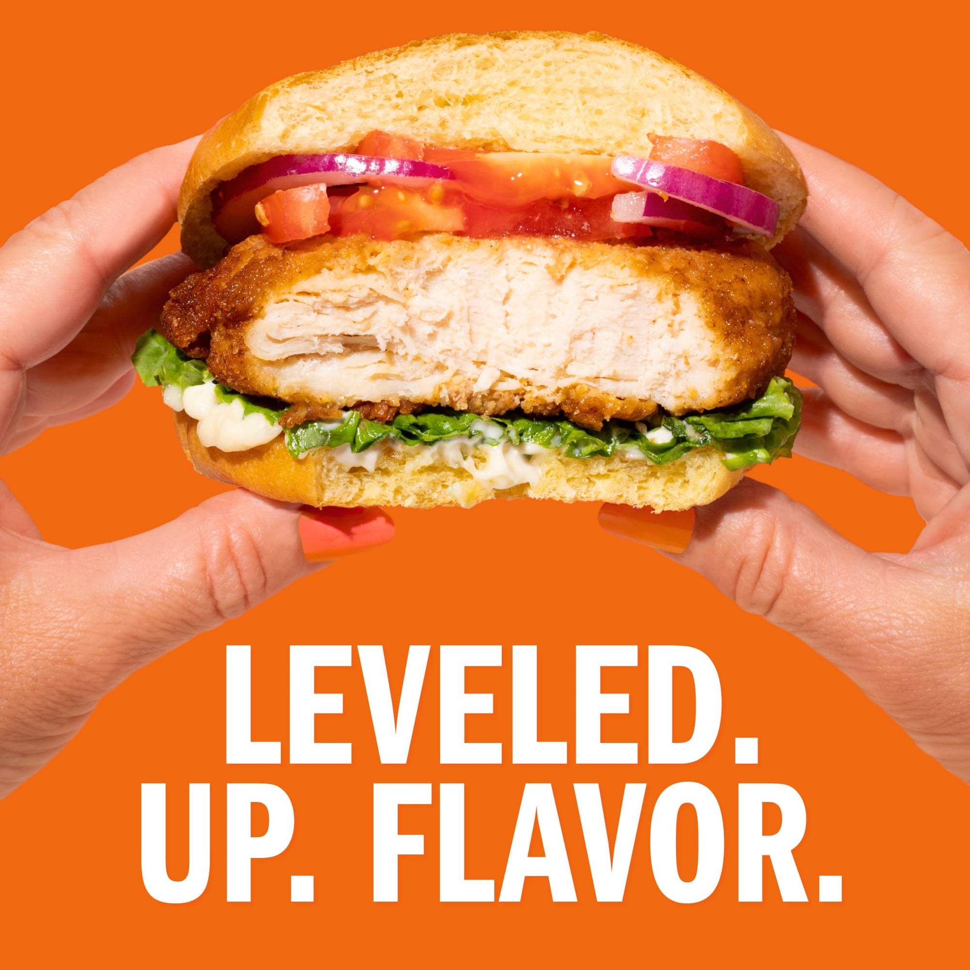 Real Good Foods Lightly Breaded Chicken Breast Fillets