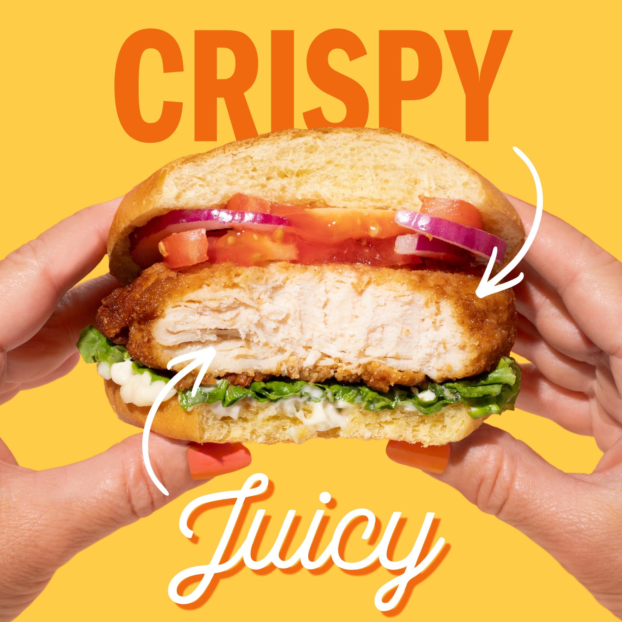 Real Good Foods Lightly Breaded Chicken Breast Fillets