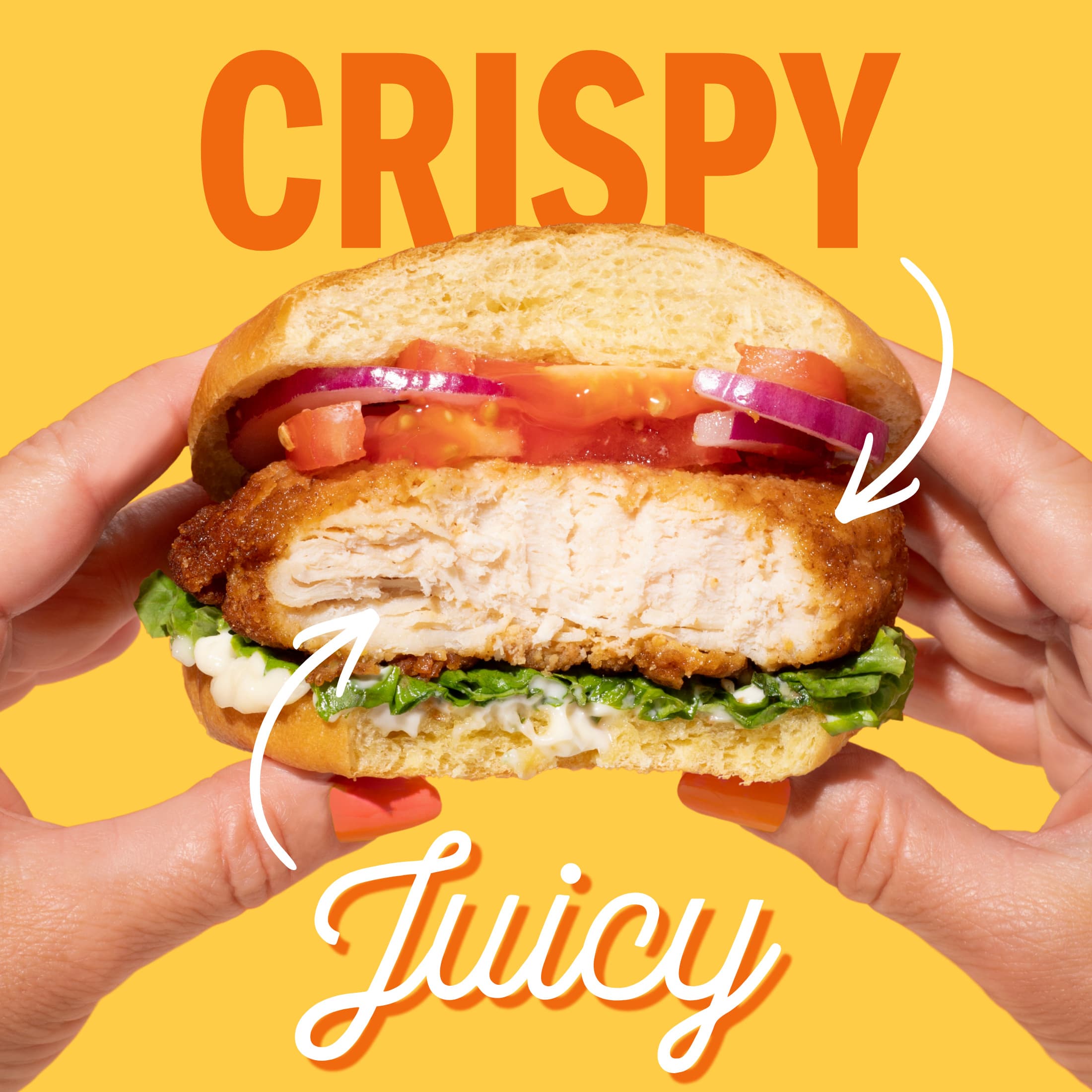 Real Good Foods Lightly Breaded Chicken Breast Fillets